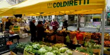 Coldiretti: oltre 3 miliardi di danni all&rsquo;agricoltura italiana per caldo, siccit&agrave; e incendi