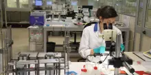 Ebola, in Italia obbligo dichiarazione per chi proviene da Congo e Uganda