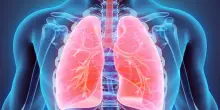 Salute respiratoria, fattori di rischio e prevenzione nel libro bianco della pneumologia