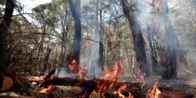 El Ni&ntilde;o preoccupa l'Australia, con l'estate "forte pericolo incendi"