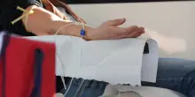Sangue e plasma, &ldquo;Donare &egrave; l&rsquo;azione pi&ugrave; bella&rdquo;. Schillaci: &ldquo;Gesto che salva vite"