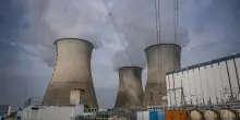 Meduse nei filtri, parziale chiusura per una centrale nucleare in Francia