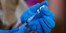 Hantavirus, &egrave; gi&agrave; corsa al vaccino. Il virologo che lo sta sviluppando: &ldquo;Dati promettenti"