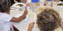 A Pordenone addio alla carne di maiale nelle mense scolastiche, men&ugrave; inclusivi
