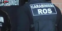 Perquisizioni dei Ros su presunti appartenenti alla "Squadra Fiore": l'indagine per dossieraggio