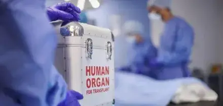 Donna di 95 anni dona gli organi, il suo fegato salva un malato