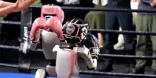 Ecco i pugili robot: umanoidi sferrano pugni sul ring, intrattenendo i fan cinesi