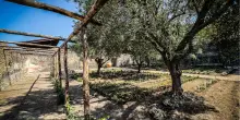 Pompei, torna a nuova vita la 'Casa del giardino di Ercole': lì si producevano e vendevano profumi