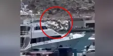 Atene, elicottero che trasportava turisti precipita in mare, tutti salvi. Il video dell’incidente