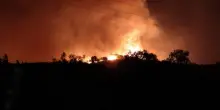 Incendi in Grecia, le fiamme divorano i boschi nell'isola di Chios: evacuazioni in corso