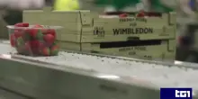La polemica che non ti aspetti: aumenta il prezzo delle fragole di Wimbledon