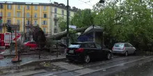 Nubifragio su Milano, albero di grosso fusto cade su un chiosco