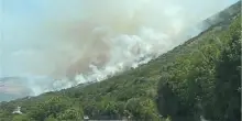 Incendi nel Gargano, arrestato un volontario di protezione civile 33enne