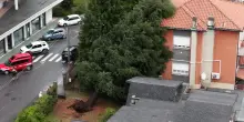 Maltempo, un albero cade su una casa nel Milanese. Il video del drone