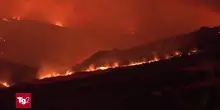 Sicilia: il fuoco e la devastazione nella Riserva dello Zingaro