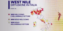 West Nile: la nona vittima aveva 85 anni, viveva a Cori, aveva patologie pregresse