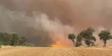 Le fiamme devastano la Spagna, i vigili del fuoco al lavoro a Zamora