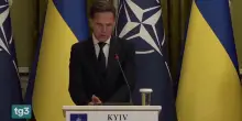 Rutte vola a Kiev: "Lavoriamo per dare all'Ucraina solide garanzie di sicurezza"