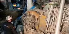 Edificio crollato a Madrid: i cani da soccorso tra le macerie. Doveva diventare un hotel