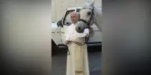 Papa Leone XIV riceve in dono un cavallo bianco: il video del Pontefice col purosangue arabo