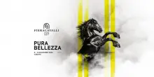 FieraCavalli, alla sua 127&deg; edizione, racconta il mondo equestre a 360&deg; e si rivolge a tutti