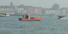 Venezia, in corso operazioni per tentare di trasferire delfino in mare
