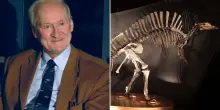 Addio a Philippe Taquet, il cacciatore di dinosauri "padre" dell'Ouranosaurus