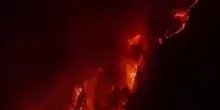 Fiamme a nord dell'Iran dove da giorni bruciano le foreste Ircane patrimonio Unesco
