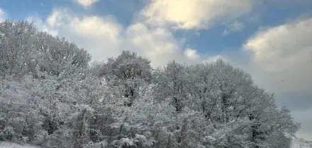 Allerta gialla in 4 regioni: neve, freddo e venti di burrasca. Soffia il gelo artico