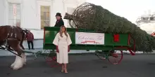 L'albero di Natale arriva alla Casa Bianca, l'accoglienza di Melania Trump: "Bellissimo"