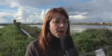 Silvana Piacentino (Wwf):  "Questo sale ha un valore internazionale"