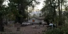 Famiglia nel bosco, un figlio ricoverato. Polemica tra garanti