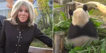 Brigitte Macron ritrova il panda Yuan Meng e la Cina annuncia una nuova coppia in arrivo