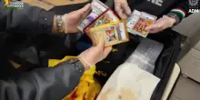 Pokemon e One Piece: fermato contrabbandiere con 20mila rare figurine da collezione