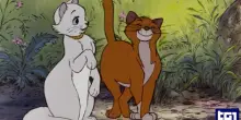 "Gli Aristogatti" compie 55 anni e rimane uno dei Classici Disney pi&ugrave; popolari di sempre
