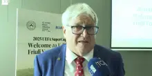 Partita Italia-Israele a Udine, il sindaco: "Ritengo la partita inopportuna"