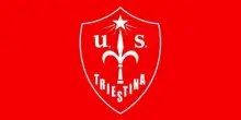 US Triestina Calcio 1918, la rivoluzione Dogecoin: il club passa nelle mani della criptovaluta