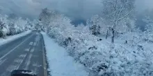 Paesaggi imbiancati e strade ghiacciate, arriva la prima neve in Puglia