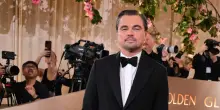 Cile, l'appello di DiCaprio ferma il progetto elettrico che minaccia la rana Pehuenche