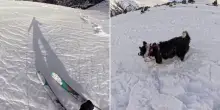 Andorra, valanga sorprende una sciatrice e il suo cane: salvi dopo lo spavento
