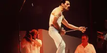 Freddie Mercury avrebbe compiuto oggi 80 anni. L'icona rock che ha cambiato il volto della musica
