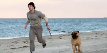 Rocky lo faccio io! Un film racconta l'ostinazione di Stallone e la genesi di un classico