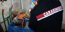 Salerno, carcasse e sporcizia in un macello clandestino: il video del sequestro dei Nas