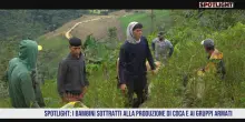 Spotlight. Artigiani di pace: i bambini sottratti alla produzione di coca e ai gruppi armati
