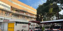 Bari, bimba di 6 anni azzannata da cane randagio: &egrave; in rianimazione al Policlinico