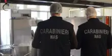 Controlli dei Nas nelle mense ospedaliere, irregolari 18 su 22