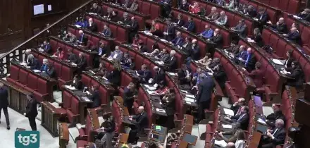 Referendum Giustizia, "Votate s&igrave;, togliamoci di mezzo toghe": bufera su Giusy Bartolozzi