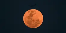 Luna Piena di aprile, ecco lo spettacolo della Pink Moon
