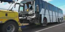 Incidente frontale tra auto e bus nel Veneziano, una vittima e diversi feriti