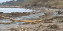 Maltempo, la spiaggia devastata:  devastazione e argilla emersa